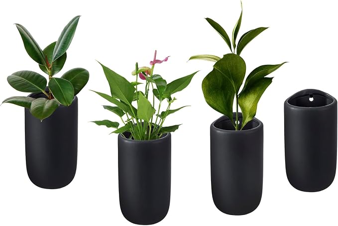 Gardening & Lawn Care