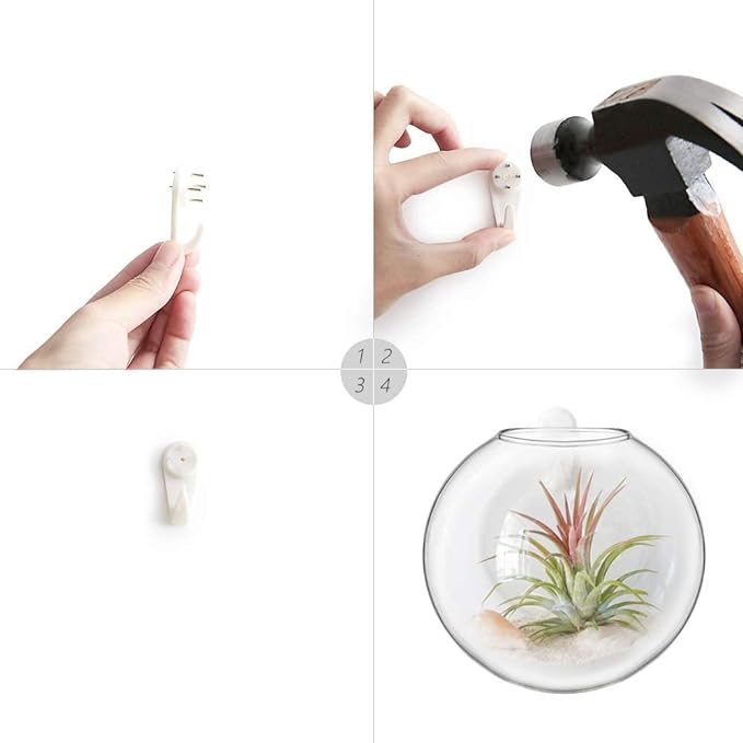 Mkono Wall Hanging Glass Terrariums Planter Oblate Flower Vase - Image 6