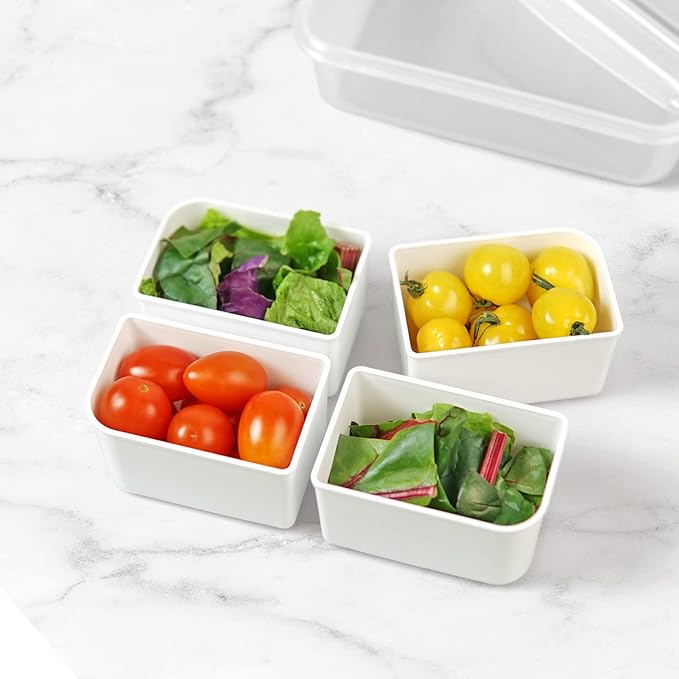 carrotez Food Storage Container with 4 Removable Compartments, Food Prep Container with Airtight Lids, Portion Control Container, Reusable, BPA Free, 4.6 Cup(1100ml)