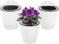 3 Pack Self Watering Wall Hanging Planter Pots Vertical Garden Window Hang by OrimercGarden