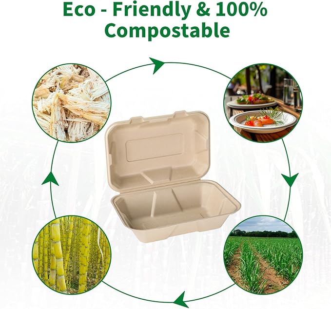 Aricsen Compostable 100 Pack 9x6 Inch Takeout Lunch Box Containers with Lid To Go Take Out Clamshell for Food, Disposable Eco-Friendly Biodegradable Bagasse, PFAS-Free, Brown