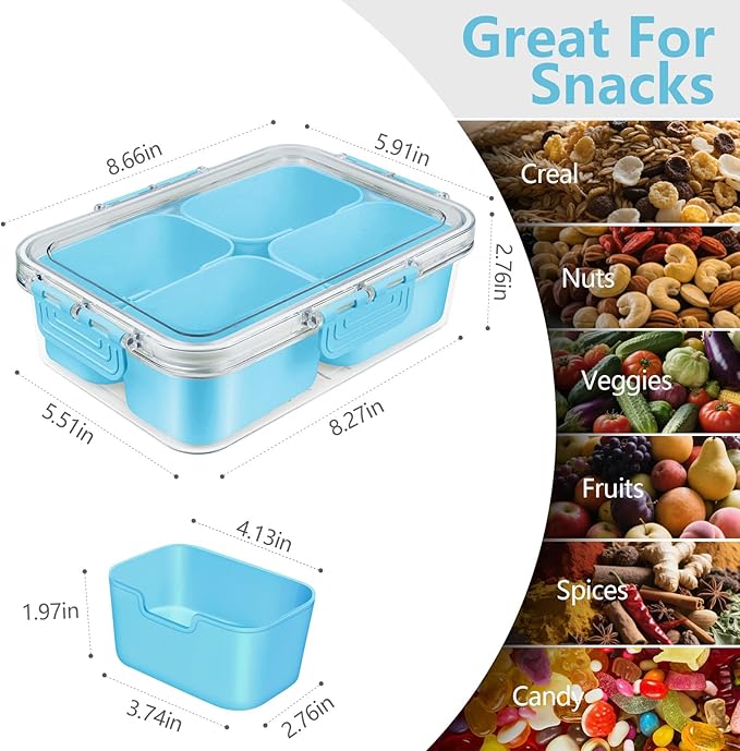 Small Snack Box Container, Divided Serving Tray with Lid, 4 Compartment Snack Box Container for Candy, Fruits, Charcuterie, Travel & Parties, BPA-Free, 2 Pack (Hand Wash Only)