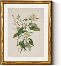 InSimSea Gold Bamboo Framed Canvas Wall Art, Neutral Floral Botanical Paintings by InSimSeaArt