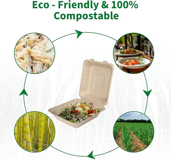 Aricsen Compostable 50 Pack 8×9 Inch Takeout Lunch Box Containers with Lid To Go Take Out Clamshell for Food, Disposable Eco-Friendly Biodegradable Bagasse, PFAS-Free, Brown