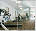 Delma Home Gym Mirror by Delma