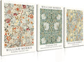 Induslyfe Framed Flower Wall Art Canvas Decor Set of 3, William Morris Framed by Induslyfe